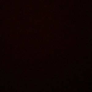 Meet your Posher, Cesar